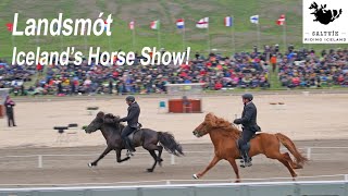 Landsmót Horse Show In Iceland Flying Pace Tolt Ride Too [upl. by Mollee]