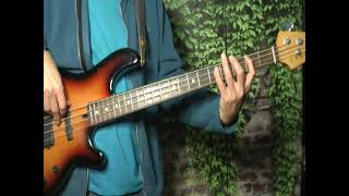 Peter Paul and Mary  I Dig Rock And Roll Music  Bass Cover [upl. by Alleira]