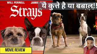 Review Of Strays Movie  Strays Movie Review [upl. by Emirak]