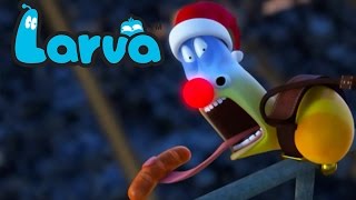 LARVA  Christmas Is Around The Corner  cartoons  comics  LARVA Official [upl. by Aihseit]