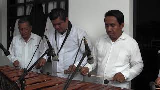 MARIMBA ALMA ZAPALUTECA   TAPACHULA [upl. by Narok]