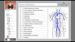 kreawi Videolehrgang für Heilpraktiker 05 Gefäße und Kreislauf [upl. by Alayne]