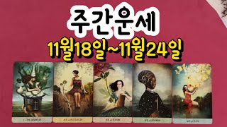 타로주간운세 2024년 11월 셋째주 11월18일11월24일 땡큐타로 주간운세입니다 [upl. by Sabir264]