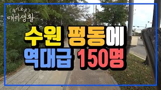 🚗슬기로운 대리생활✅24년10월29일🚩대리브리핑🔊수원 평동에 역대급 150명 [upl. by Gasper]