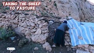 Grazing Sheep in Iran’s Nomadic Villages Lor Tradition and Village Life [upl. by Idzik]