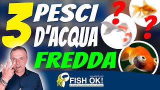 🐟 3 pesci dacqua fredda [upl. by Edina]