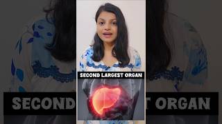 Liver healthy रखना है तो इसे जरूर खाना है health food viralshort liver khana [upl. by Macgregor995]