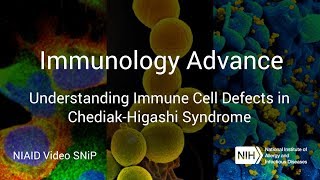 Immunology Advance Understanding Immune Cell Defects in ChediakHigashi Syndrome [upl. by Eitsirhc]