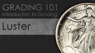 LUSTER Introduction to Coin Grading Using Mint State Walking Liberty Half Dollars [upl. by Adnuhsat642]