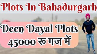 Bahadurgarh में 45000 रू गज Deen Dayal Plots  Plots In Bahadurgarh sonipat delhi home plots [upl. by Pradeep904]