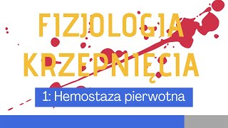 Fizjologia układu krzepnięcia 1 Hemostaza pierwotna [upl. by Randell666]