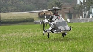 Flight Review  RC Airwolf with 5 blades main rotor head [upl. by Ajnot607]