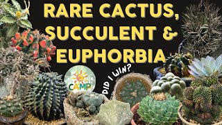 Cactus amp Succulent Tour 🌵 I Joined an Astrophytum Tabletop Competition🏆 [upl. by Jun]