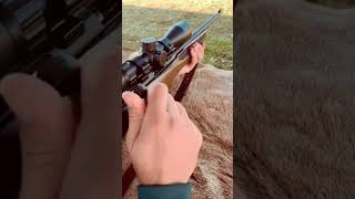 Savage B22 Bolt Action Rifle 22LR Guns [upl. by Staford]