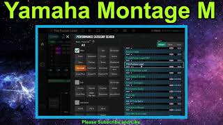 Yamaha Montage M  Syn Lead  ESP Expanded Softsynth Plugin  VST [upl. by Cofsky]