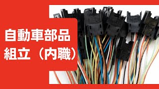 【内職】自動車部品組立をやってみた感想。稼げる金額や求人の探し方 [upl. by Anse464]