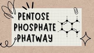 🥸Pentose Phosphate Pathway regulation Secrets Unlocked👍🏻Lecture4 UsmlePlab [upl. by Ashok]