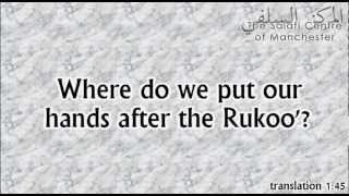 Where do we put our hands after Rukoo  Shaikh Zayd ibn Hadee alMadkhalee [upl. by Yenatirb573]