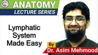 Biology of Lymphatic System  Hindi  Urdu [upl. by Mowbray]