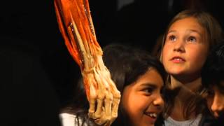 Body Worlds Vital Brugge [upl. by Akinak]