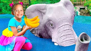 Zoo Song Collection Funny Kids Song and Nursery Rhymes [upl. by Rabkin]