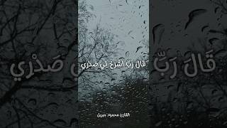 قال رب اشرح لي صدري❤️🥰قرآن الله quran islam allah اكسبلور fyp explore [upl. by Nair21]