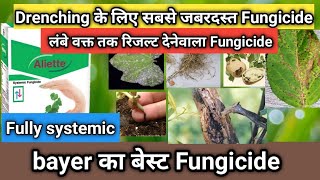 aliette fungicide । bayer aliette fungicide की पूरी जानकारी। fosetyl aluminium fungicide की जानकारी [upl. by Dygal]