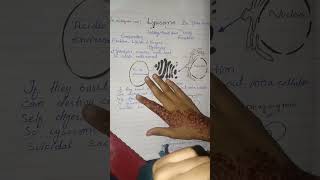 lysosomes structure and function [upl. by Llevert]