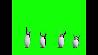 BAILE DE PINGUINOS DE MADAGASCAR Greenscreen Dancing Penguins of Madagascar [upl. by Rigdon]