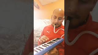 Melodica en reggae Cover well pleased the Wailers live [upl. by Arikehs]