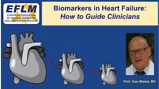 Biomarkers in Heart Failure How to Guide Clinicians [upl. by Aihsikal653]