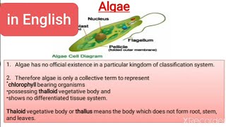 Algae  General Characteristics Thallus structure reproduction classification and economic imp [upl. by Trofmoc]