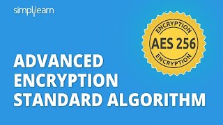 AES  Advanced Encryption Standard Algorithm In Cryptography  AES Explained  Simplilearn [upl. by Anallij]