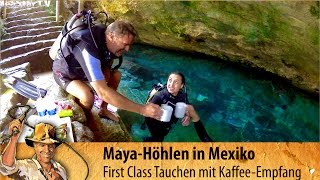 Cenote Chak Moll Mexiko  Yucatan Tauchen mit krasser Überraschung in der Höhle  5 [upl. by Dranrev]