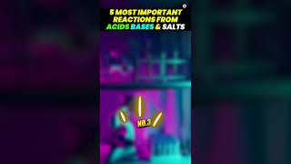 5 Most Important Reactions From Acids Bases And Salts  Class 10 Chemistry  Science  CBSE 2024 [upl. by Coreen]