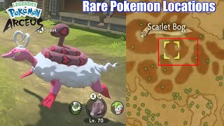 Every Rare Spawn amp Legendary Pokemon Location  Pokemon Legends Arceus [upl. by Ahsilek]