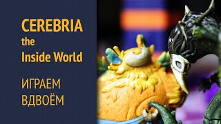 Cerebria The Inside World — Играем вдвоём [upl. by Caundra]