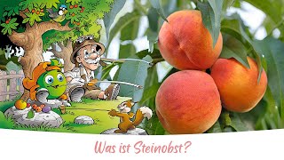 Was ist Steinobst [upl. by Evad]