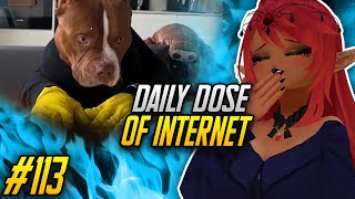 WHAT THE DOG DOIN’  Daily Dose of Internet Reaction [upl. by Ruenhcs]