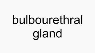 How to pronounce bulbourethral gland [upl. by Fini]