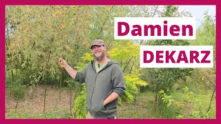 Visite de la forêt comestible de Damien Dekarz  permacultureetc [upl. by Retsevlis]