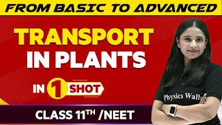 Transport In Plants in One Shot  NEETClass 11th Boards  Victory Batch [upl. by Ala]