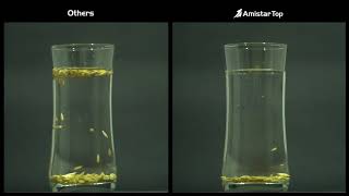 Amistar Top Rice TEST [upl. by Rosenblatt]