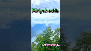 Miriyabedda 😁❤️🤟 shorts travel srilanka [upl. by Bogosian]