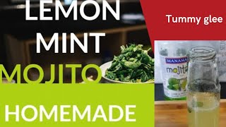 REFESHING LEMON MINT DRINK  LEMON MINT MOJITO HOMEMADE EASY RECIPE [upl. by Chapin423]