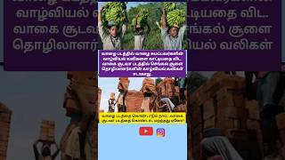 வாகை சூடவா 🆚 வாழை comparison cinema news shorts [upl. by Eillac125]