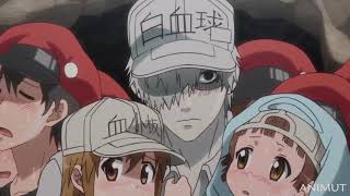 We must Protect the Platelets  Hataraku Saibou Episode 11 [upl. by Anirtak]