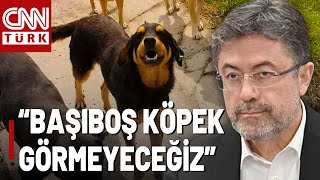 quotYaklaşık 4 Milyon Sahipsiz Köpek Varquot İbrahim Yumaklıdan Sokak Köpeği Teklifi Açıklaması [upl. by Asoj]