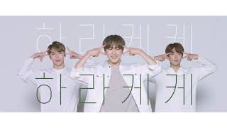 더샘X세븐틴 the SAEM Harakeke Dance [upl. by Georgeanna]