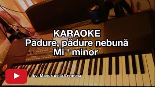 Pădure nebună Mi  min  KARAOKE [upl. by Eellac]